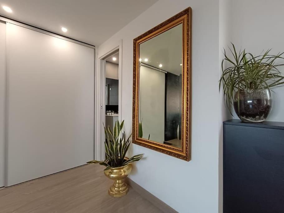 San Vicente Raspeig Spacious Studio By The University מראה חיצוני תמונה