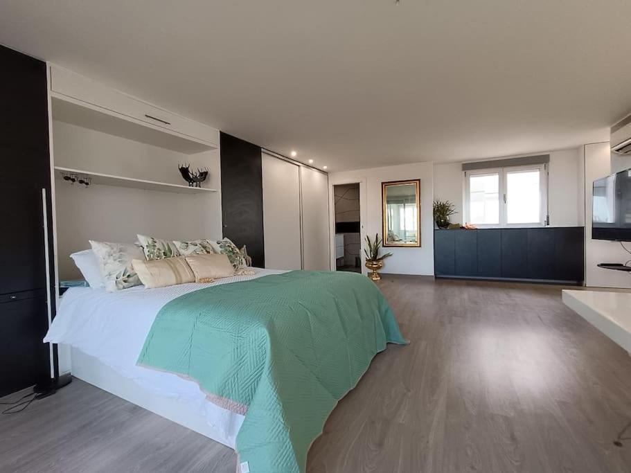 San Vicente Raspeig Spacious Studio By The University מראה חיצוני תמונה